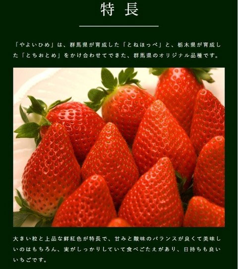 とちおとめ 苗のおすすめ人気商品一覧 通販 - Yahoo!ショッピング