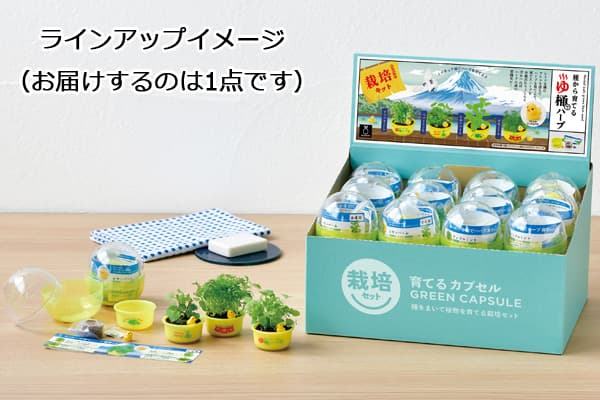 ギフトに 育てるカプセル ゆ桶でハーブ栽培 1個の詳細画像3