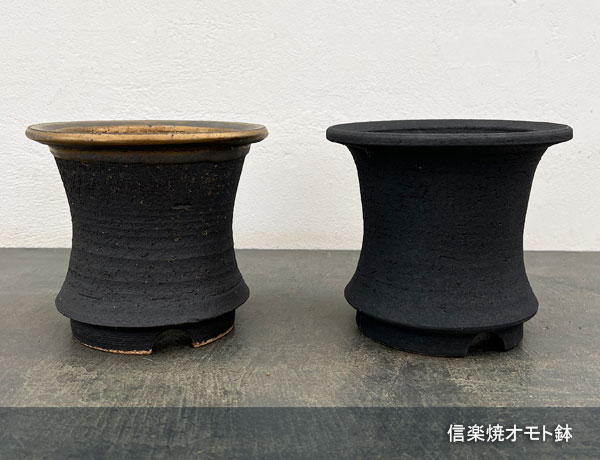 万年青鉢（素材：陶磁器）のおすすめ人気商品一覧 通販 - Yahoo