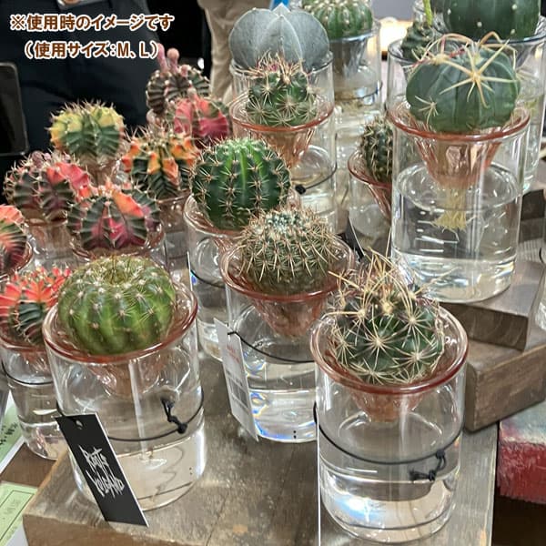 ルーツ ボルケーノ LLサイズ（直径8.5cm） グリーン : 園芸ネット