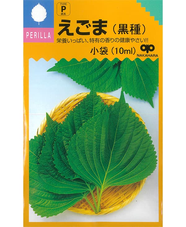 シソ えごま(黒種子) 葉は韓国料理や焼肉のお...の詳細画像3