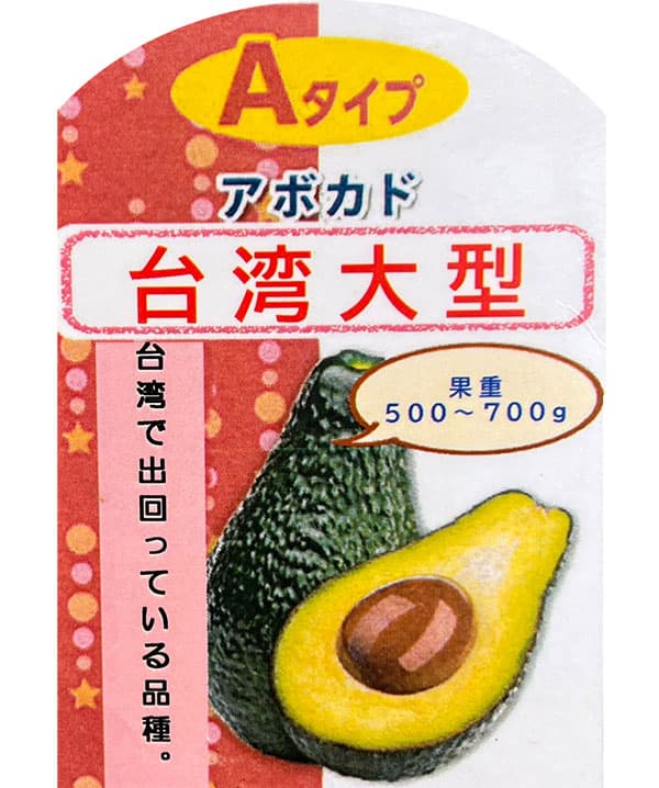 アボカド苗の商品一覧 通販 - Yahoo!ショッピング