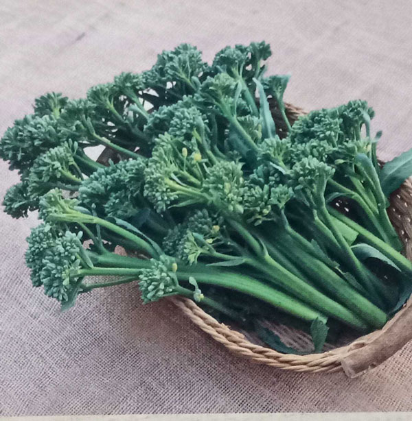 野菜の苗 本気野菜(R)濃い花野菜 早摘みやわ...の詳細画像2