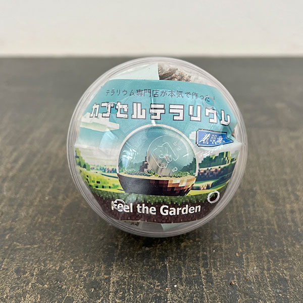 山野草の苗 カプセルテラリウムの詳細画像3