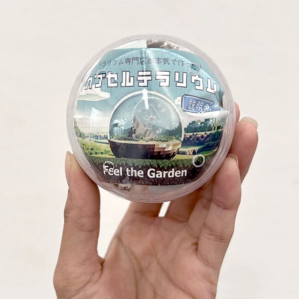 山野草の苗 カプセルテラリウムの詳細画像4
