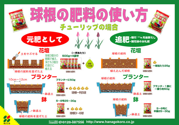 球根の肥料 400g入り(3-7-5) *の詳細画像2