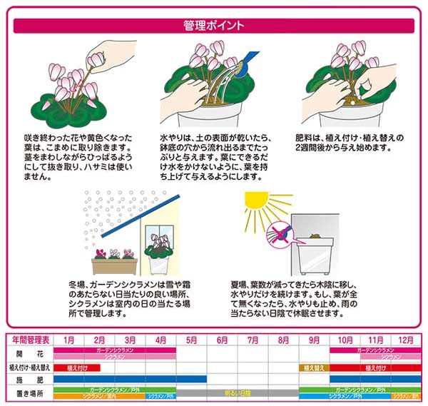 ガーデンシクラメン・シクラメンの土12リットル入り｜engei｜05
