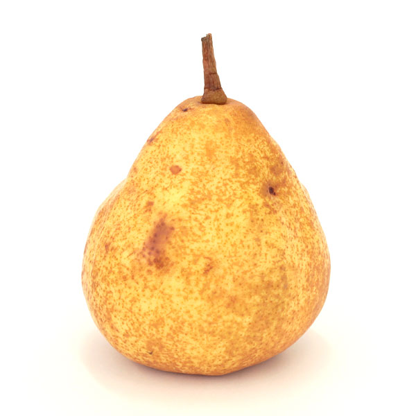 果樹の苗 セイヨウナシ(西洋梨) オーロラ4号ポットの詳細画像3