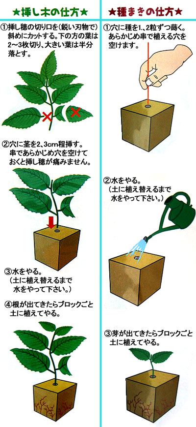 ロックウールブロック3cm角60個入り : 32851 : 園芸ネット - 通販 