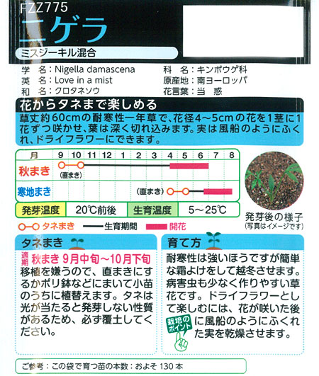 ニゲラ：ミスジーキル混合 タキイ 花タネ |  | 01