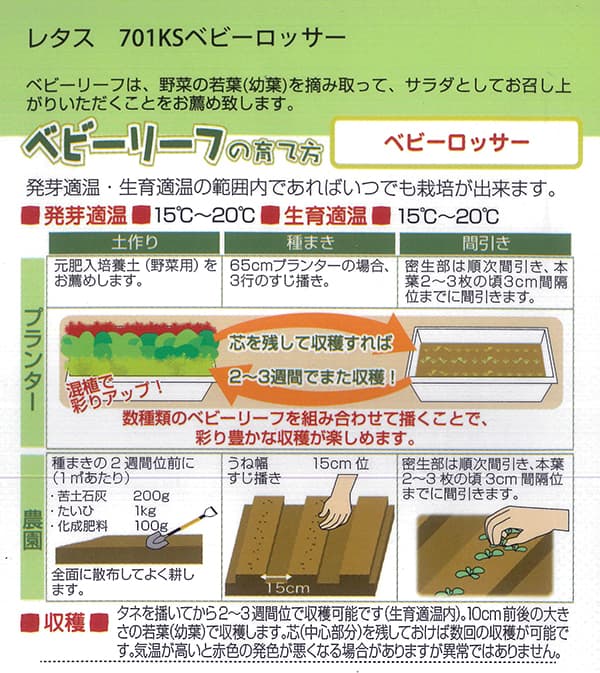 ベビーリーフの種 ベビーロッサー サニーレタス 周年まき可能 タネ |  | 01