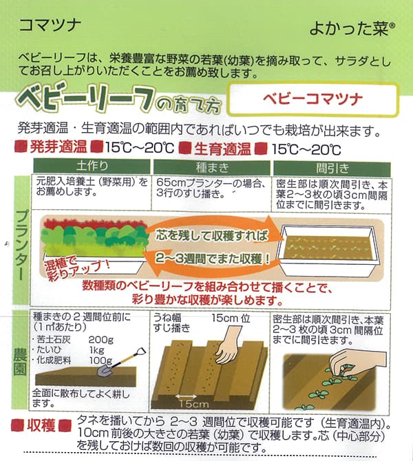 ベビーリーフの種 ベビーコマツナ よかった菜 ...の詳細画像1