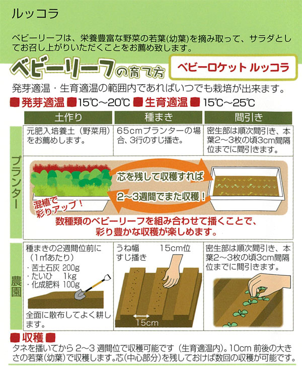 有効期限26年10月 ベビーリーフの種 ベビー...の詳細画像3