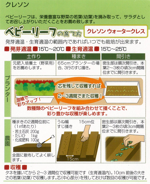 ベビーリーフの種 クレソン ウォータークレス(...の詳細画像1