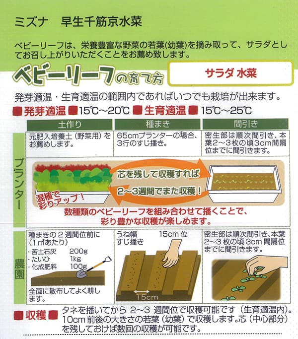 ベビーリーフの種 サラダみず菜 早生千筋京水菜 タネの詳細画像1
