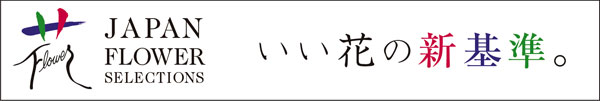 草花の苗/ランドスケープペチュニア：おゆきちゃん3.5号ポット2株セット｜engei｜02