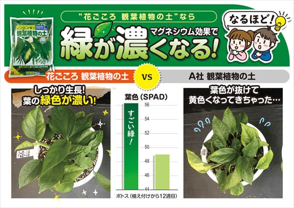 観葉植物の土　12リットル入り*｜engei｜04