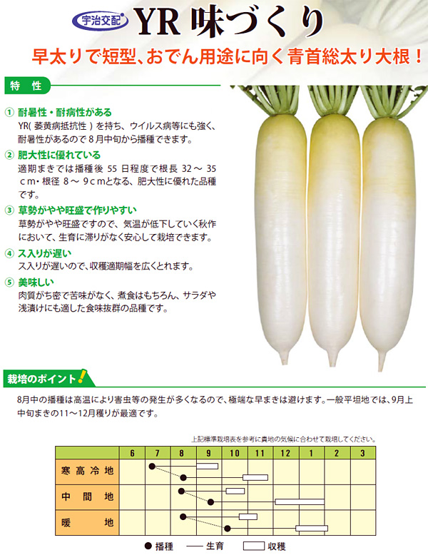 おでん大根 品種のおすすめ人気商品一覧 通販 - Yahoo!ショッピング