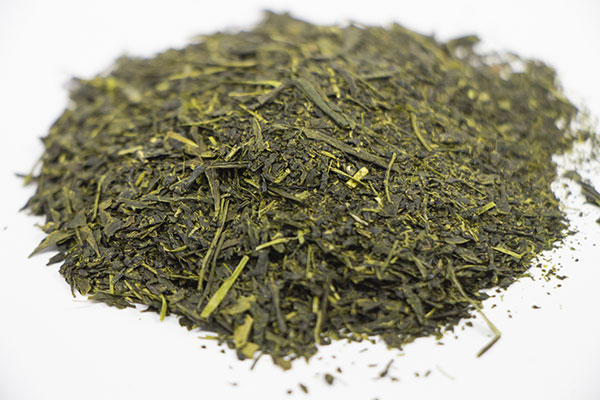 花木 庭木の苗 チャ(お茶の木) やぶきた茶4...の詳細画像2