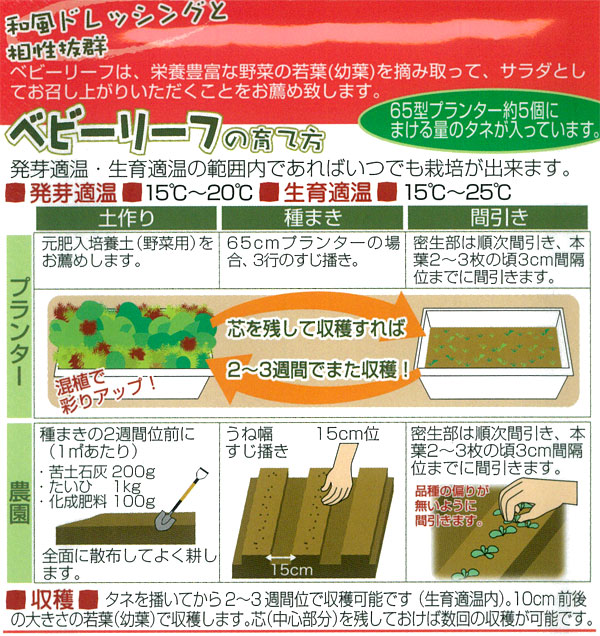 有効期限26年10月 ベビーリーフの種ミックス 和風 マイルドな味わいの和菜ミックス 周年まき可能 タネ |  | 01