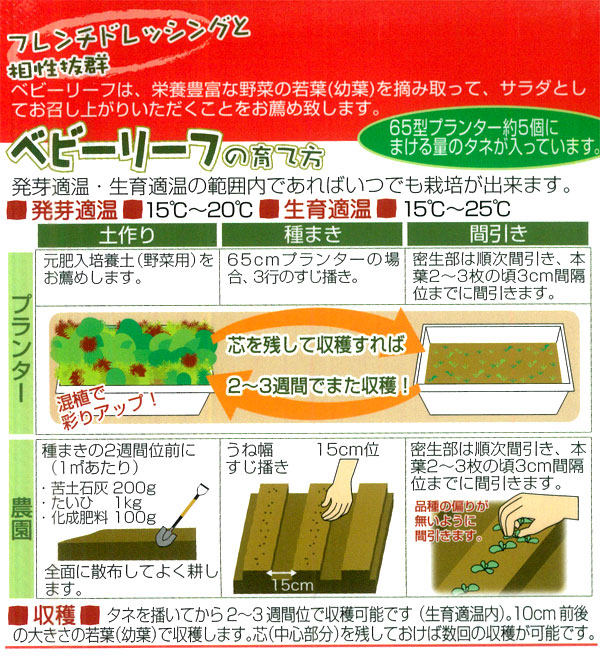有効期限26年10月 ベビーリーフの種ミックス フレンチ風 周年まき可能 タネ |  | 01