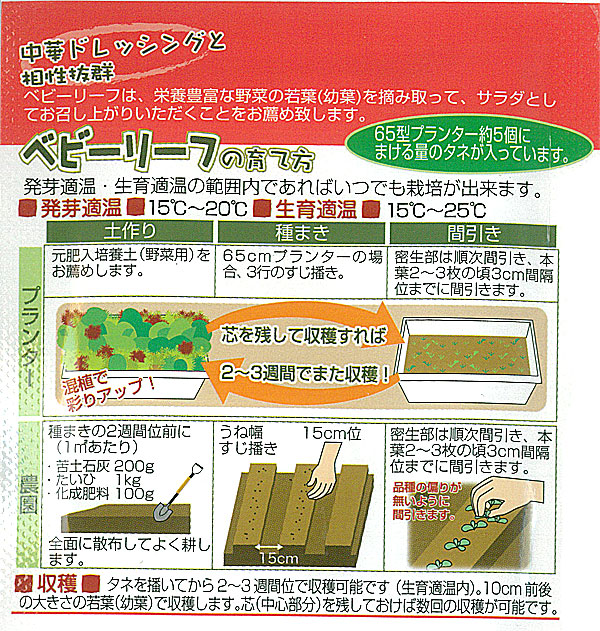 有効期限26年10月 ベビーリーフの種ミックス 中華風 周年まき可能 タネ |  | 01