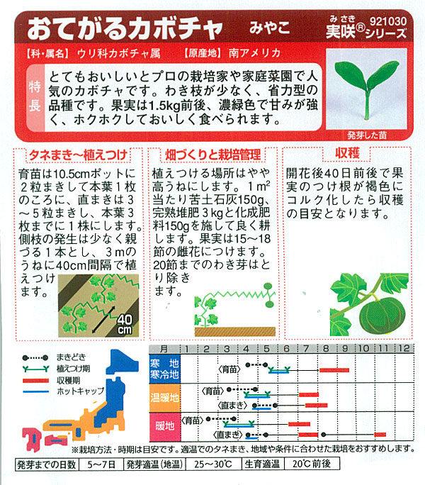 カボチャ：みやこ 野菜タネ｜engei｜02