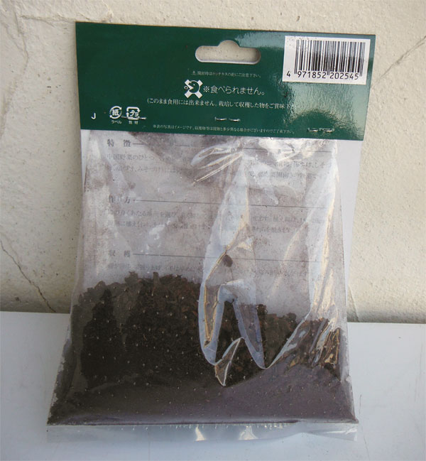 野菜の苗 チョロギ 野菜球根パック 10球入り |  | 01