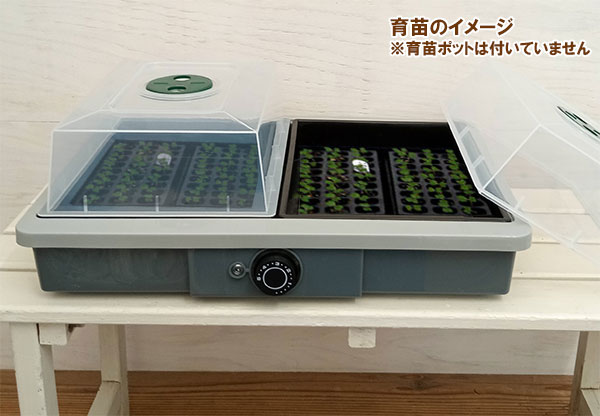 家庭用発芽育苗器：愛菜花（あいさいか） 送料無料