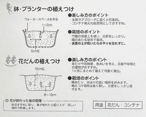 球根 26年9月中下旬予約 アイリス(ミニ) ...の詳細画像1