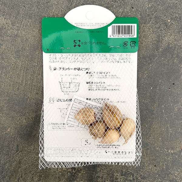 球根 26年9月中下旬予約 アイリス(ミニ) ...の詳細画像2