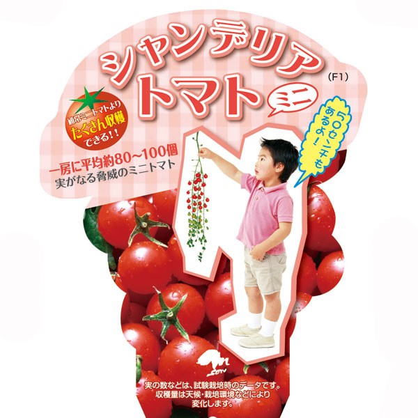 野菜の苗 トマト(ミニ) シャンデリアトマト3...の詳細画像1