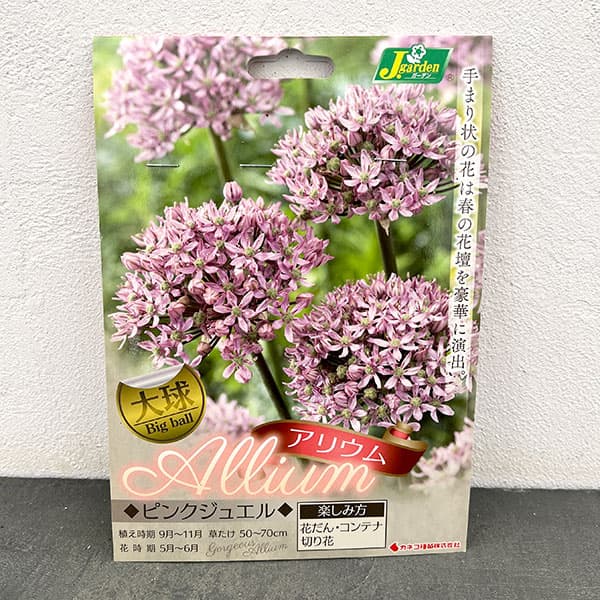 球根 26年9月中下旬予約 アリウム ピンクジ...の詳細画像2