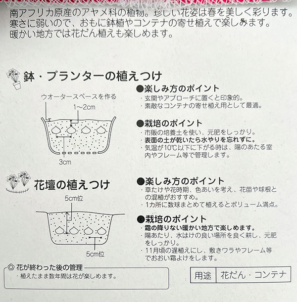 球根 26年9月中下旬予約 スパラキシス 混合...の詳細画像1