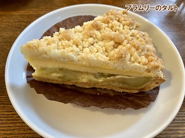 果樹の苗 リンゴ ブラムリー 4〜5号ポットの詳細画像5