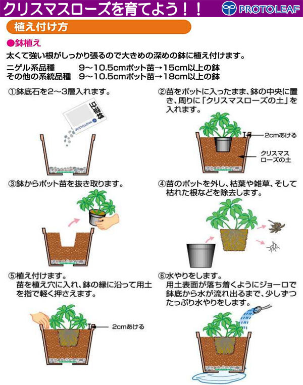 クリスマスローズの土 12L入り4袋セット（プロトリーフ） :75076:園芸ネット - 通販 - Yahoo!ショッピング