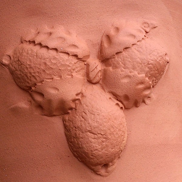 Willow Potteryの鉢　テラスレモンポット：TL1 直径45cm 