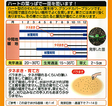 ダイカンドラ（花、ガーデニング）のおすすめ人気商品一覧 通販