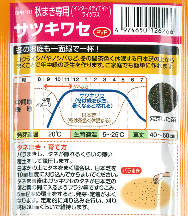 サマーセール (わけあり特価) 有効期限26年...の詳細画像1