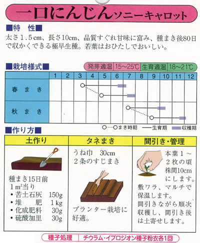 ニンジン種 一口にんじん ソニーキャロット 野菜タネの詳細画像1