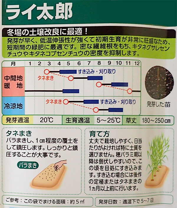 超極早生らい麦の種：ライ太郎 約5平米分 春・秋まき（冷涼地5〜8月）タネ｜engei｜02