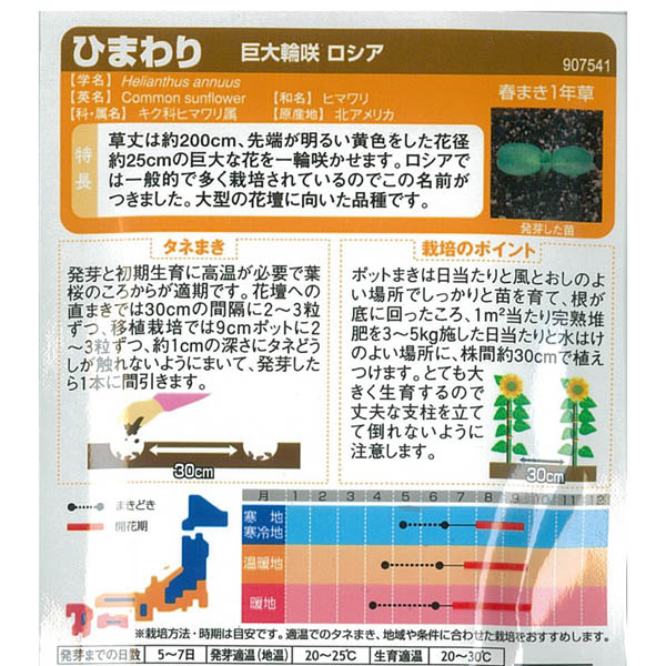 ヒマワリ 巨大輪咲き ロシア サカタ 花タネの詳細画像1