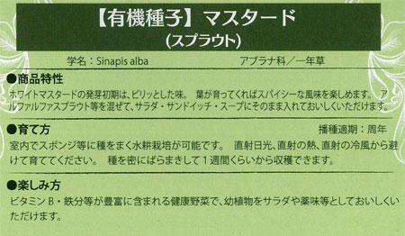 棚卸セール モヤシ：（スプラウト栽培用）有機種子　マスタード タネ｜engei｜03