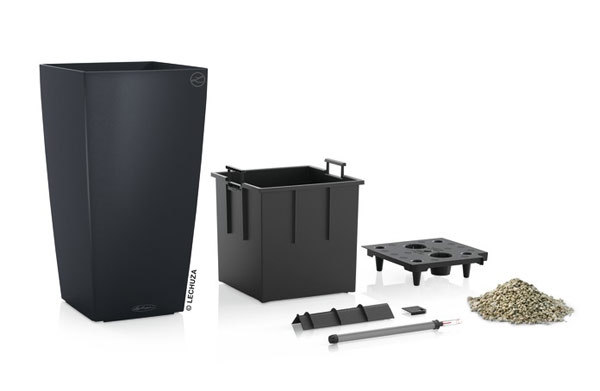 レチューザ・エコノミー：コラム30 ストーングレイ 