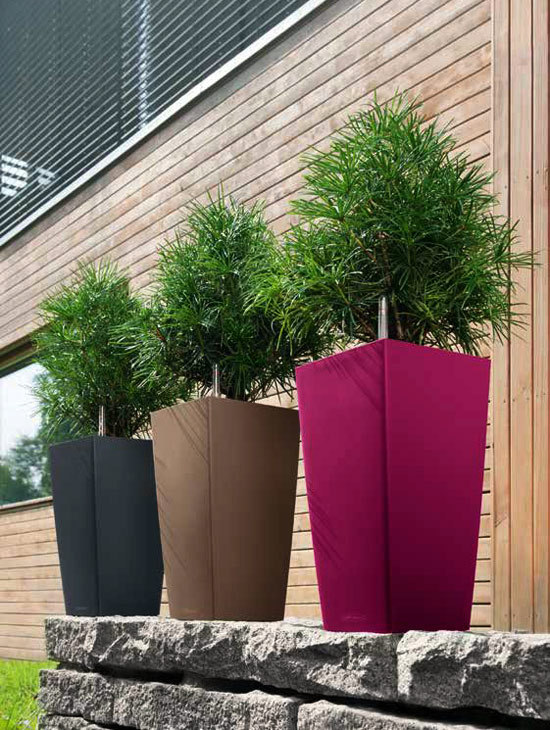 レチューザ・エコノミー：コラム30 ストーングレイ 