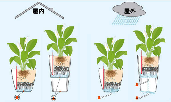 レチューザ・エコノミー：コラム30 ストーングレイ 