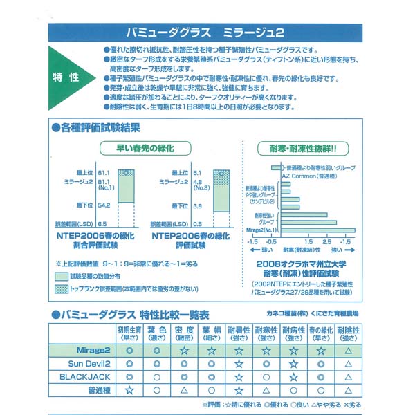 芝の種：西洋芝バミューダグラス ミラージュ2（皮付）1kg