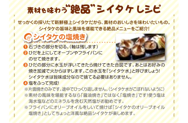 野菜の苗 ホダキング（しいたけホダ木オガ菌完熟45cm）1本 |  | 06