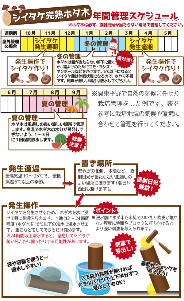 野菜の苗 ホダキング（しいたけホダ木オガ菌完熟45cm）1本 |  | 05