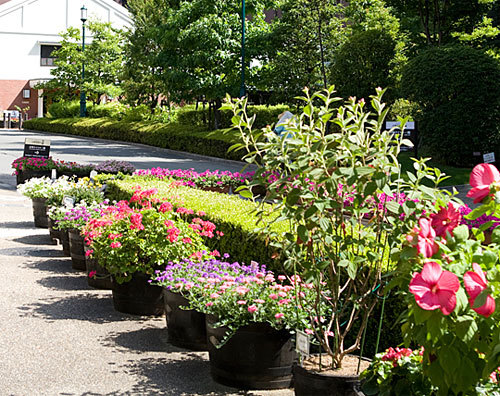 ウイスキーの樽タブ 椀型60 黒 送料無料の詳細画像1